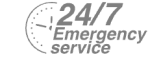 24/7 Emergency Service Pest Control in Balham, SW12. Call Now! 020 8166 9746