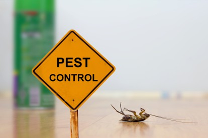 Pest Contol in Balham, SW12. Call Now 020 8166 9746